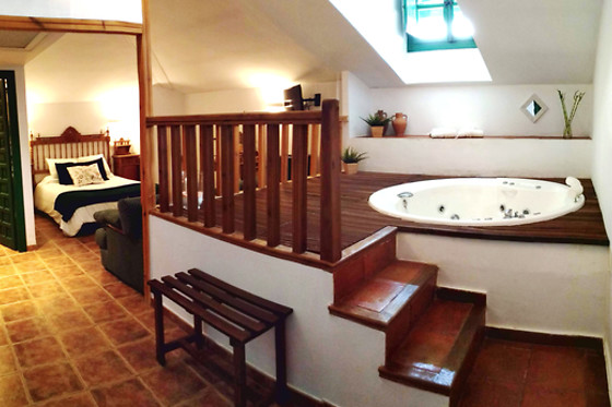 PALACIO BUENAVISTA - photo 6