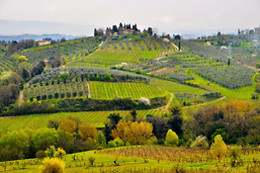 Agrihotel il Palagetto