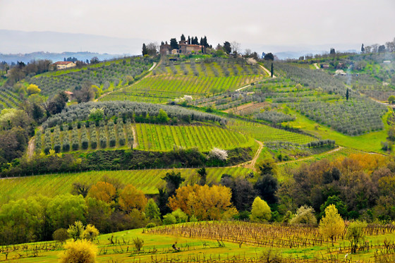 Agrihotel il Palagetto - photo 0