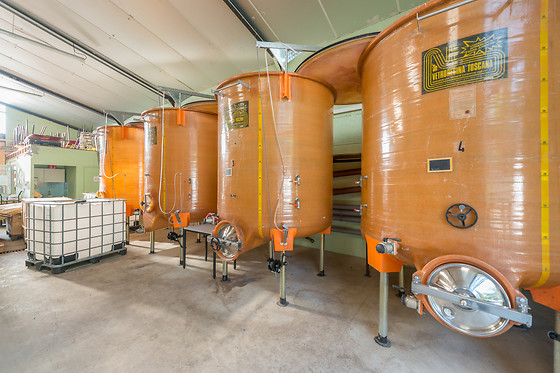 Scea Domaine des Gabies - photo 10