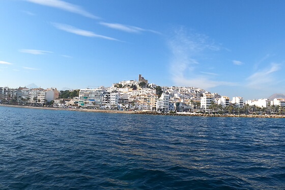 FLYING FISH TOURS - photo 0
