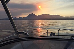 FLYING FISH TOURS