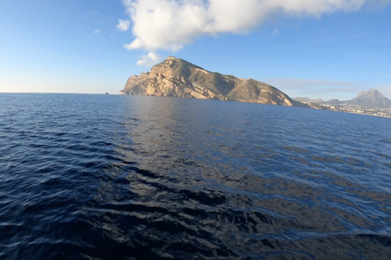 FLYING FISH TOURS - photo 4