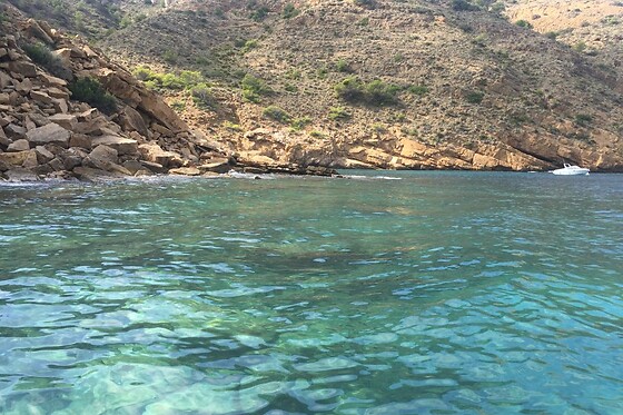 FLYING FISH TOURS - photo 5