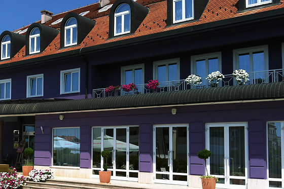Hotel Phoenix - photo 0