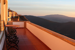 CASA DA ÁRVORE