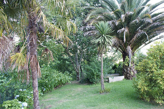 Quinta de Canhões - photo 7