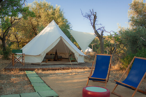 Glamping Shauri - photo 2