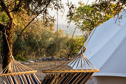 Glamping Shauri