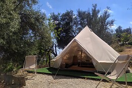 Glamping Shauri