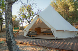 Glamping Shauri