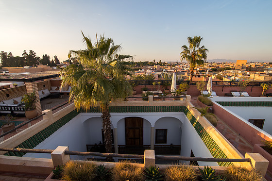 Riad l'Orangeraie - photo 8