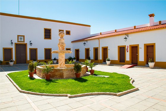 HOTEL BODEGA EL MORAL - photo 3