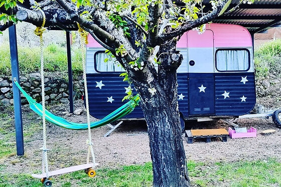 CARAVAN GLAMPING - photo 6