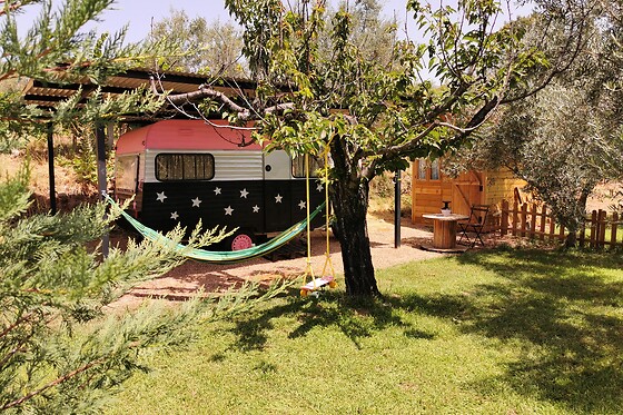 CARAVAN GLAMPING - photo 8