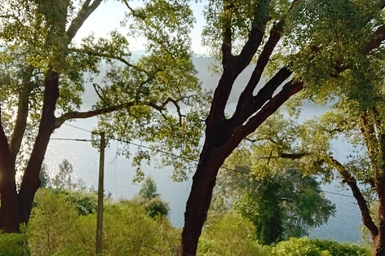 Parque de Campismo e Caravanismo de Pedrógão Grande - photo 11