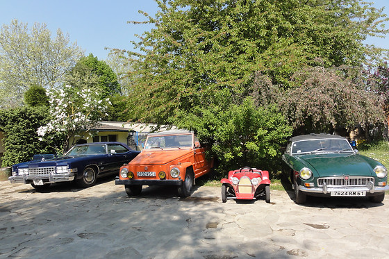 Les Wyllos - photo 3