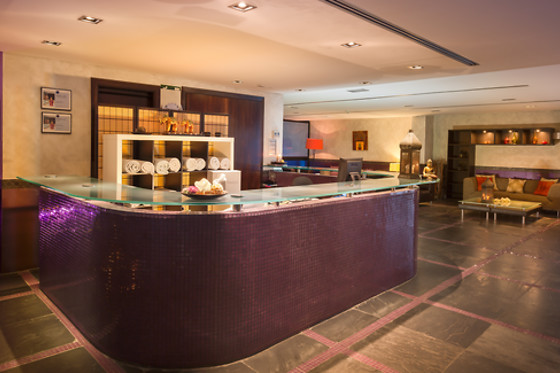 HOTEL BARCELÓ OCCIDENTAL ARANJUEZ - photo 12
