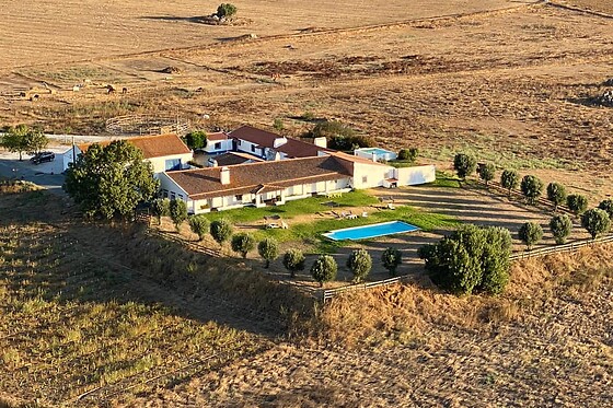 Monte da Oliveirinha Country House - photo 4