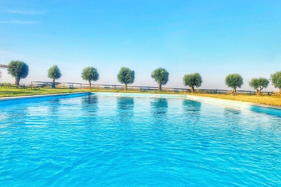 Monte da Oliveirinha Country House - photo 1