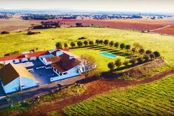 Monte da Oliveirinha Country House - photo 14