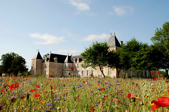 Château de Panloy - photo 1