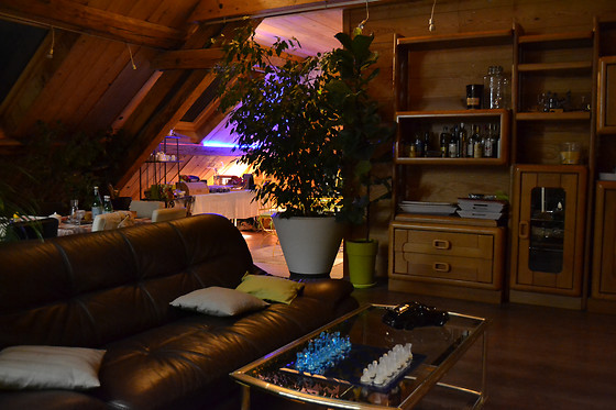 Les Jardins d'Armance - photo 9