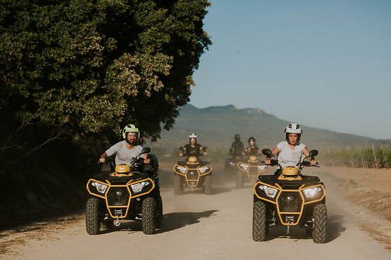 GRAPE AVENTURA - photo 13