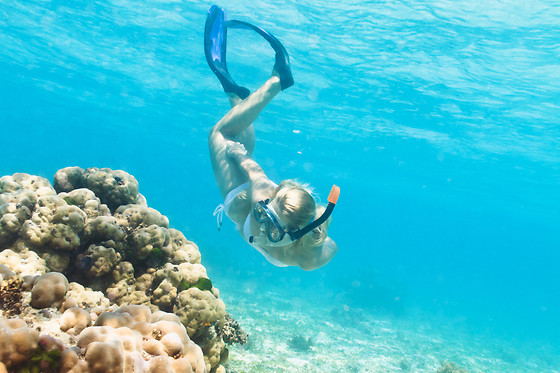 OPEN WATERS - photo 0