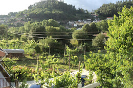 ALOJAMENTO CORREIA