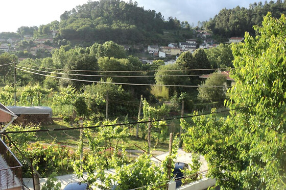 ALOJAMENTO CORREIA - photo 3