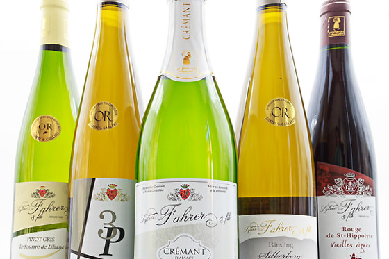 Domaine Sylvie Fahrer et Fils - photo 4