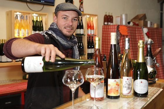 Domaine Sylvie Fahrer et Fils - photo 2