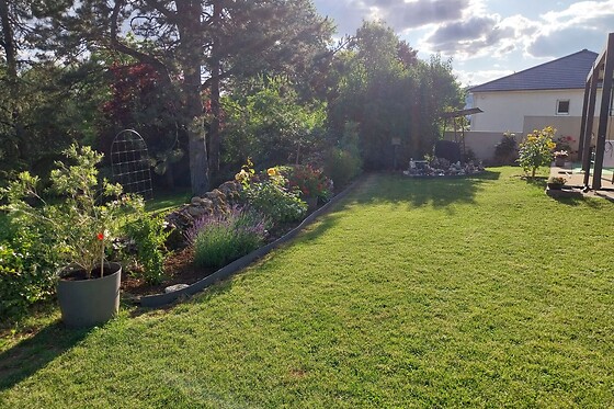 Chez Viviane - photo 5