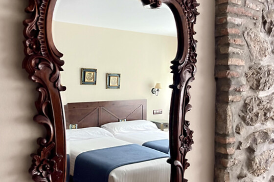 HOTEL LA POSADA DEL REY - photo 3