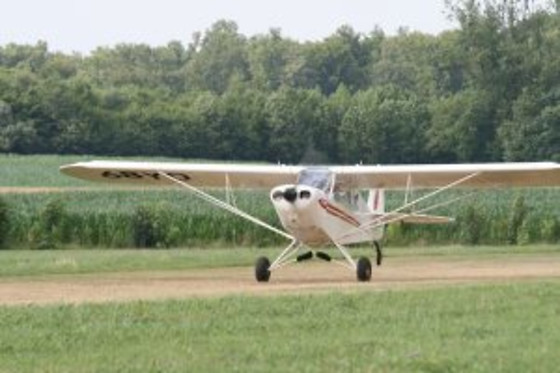 Alsafly - photo 7