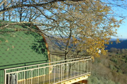 La Grande Pigna Tra Gli Alberi