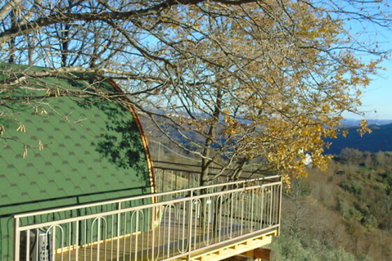 La Grande Pigna Tra Gli Alberi - photo 1