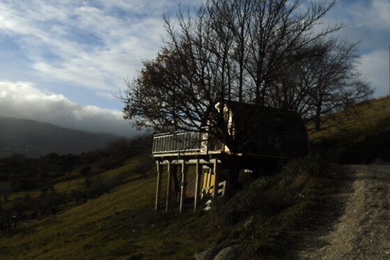 La Grande Pigna Tra Gli Alberi - photo 3