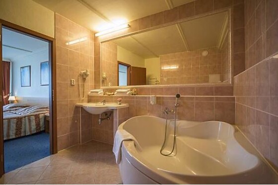 Top Hotel Praha - photo 2