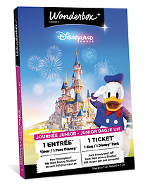 Disneyland® Paris - 1 dag /1 park/1 kinderticket