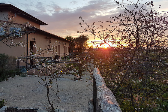 Casale Cavatella - photo 3