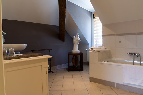 Boutique Hotel Dufays - photo 4