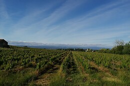 Chambre d'hôtes à Arzens