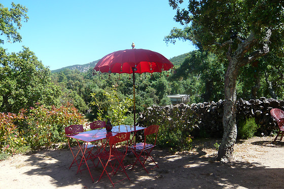 Au Soleil Mongol - photo 2