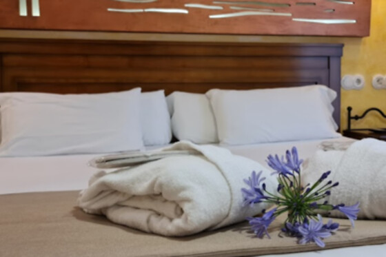 HOTEL COMENDADOR SPA - photo 5