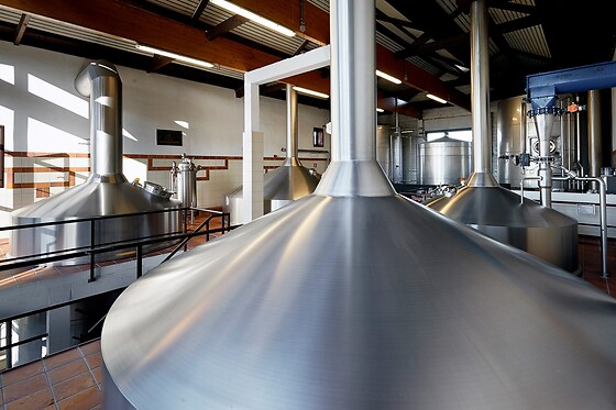 Brouwerij Van Steenberge - photo 7