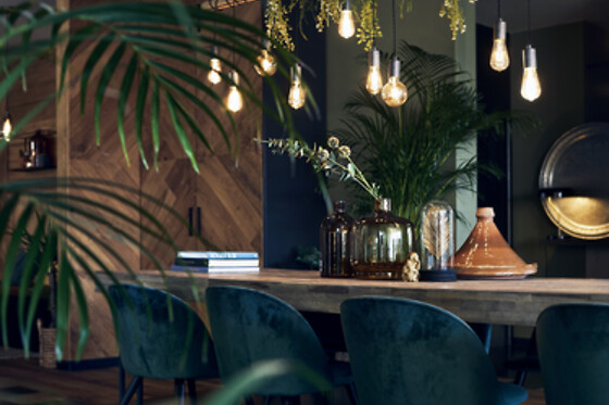 Hotel ZUID - photo 9