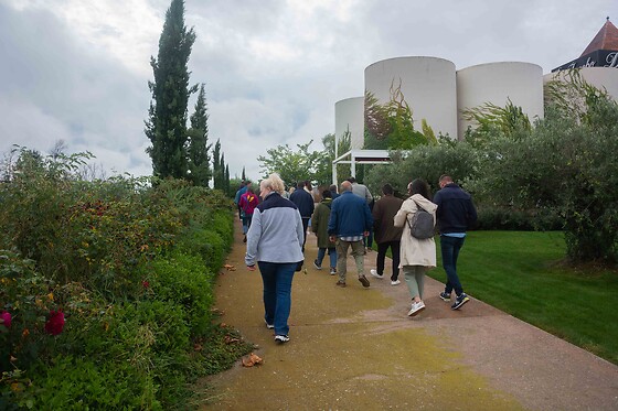 BODEGAS CORRAL - photo 12