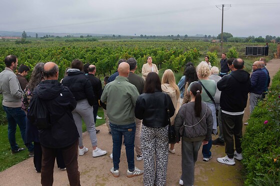 BODEGAS CORRAL - photo 14
